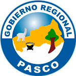 Convocatoria GOBIERNO REGIONAL PASCO