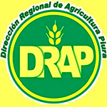 Empleos DIRECCION REGIONAL AGRICULTURA PIURA
