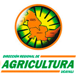 Empleos DIRECCIÓN DE AGRICULTURA UCAYALI