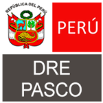 Convocatoria DIRECCIÓN DE EDUCACIÓN(DRE) PASCO