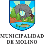  MUNICIPALIDAD DE MOLINO