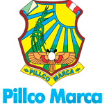 Empleos MUNICIPALIDAD DE PILLCO MARCA