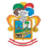 Empleos MUNICIPALIDAD DE SAN MARTÍN - TARAPOTO