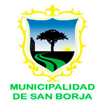  MUNICIPALIDAD SAN BORJA