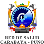 Convocatoria RED DE SALUD CARABAYA