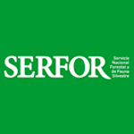  SERFOR