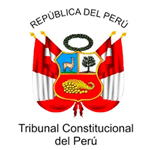  TRIBUNAL CONSTITUCIONAL(TC)