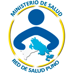 Convocatoria RED DE SALUD PUNO